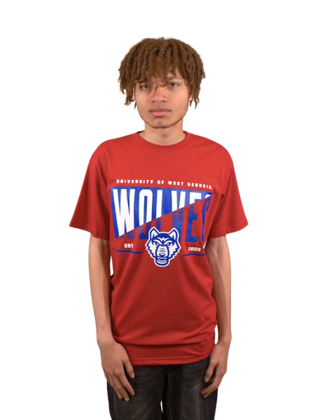 EVEREST SUSTAINABLE TEE WOLVES TWO-TONE STRIKE THROUGH; $24.99