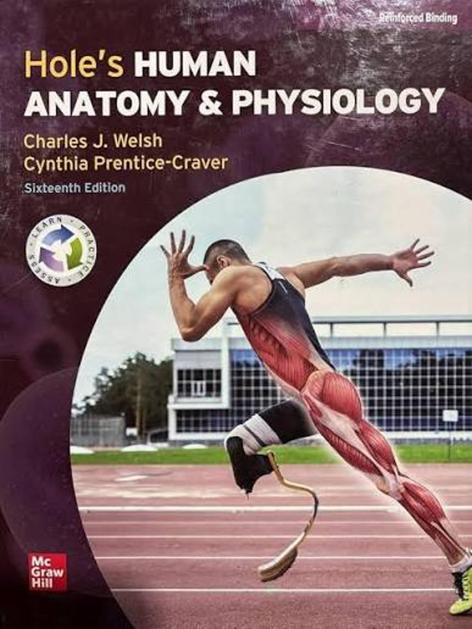 Cover image for Holes Human Anatomy and Physiology