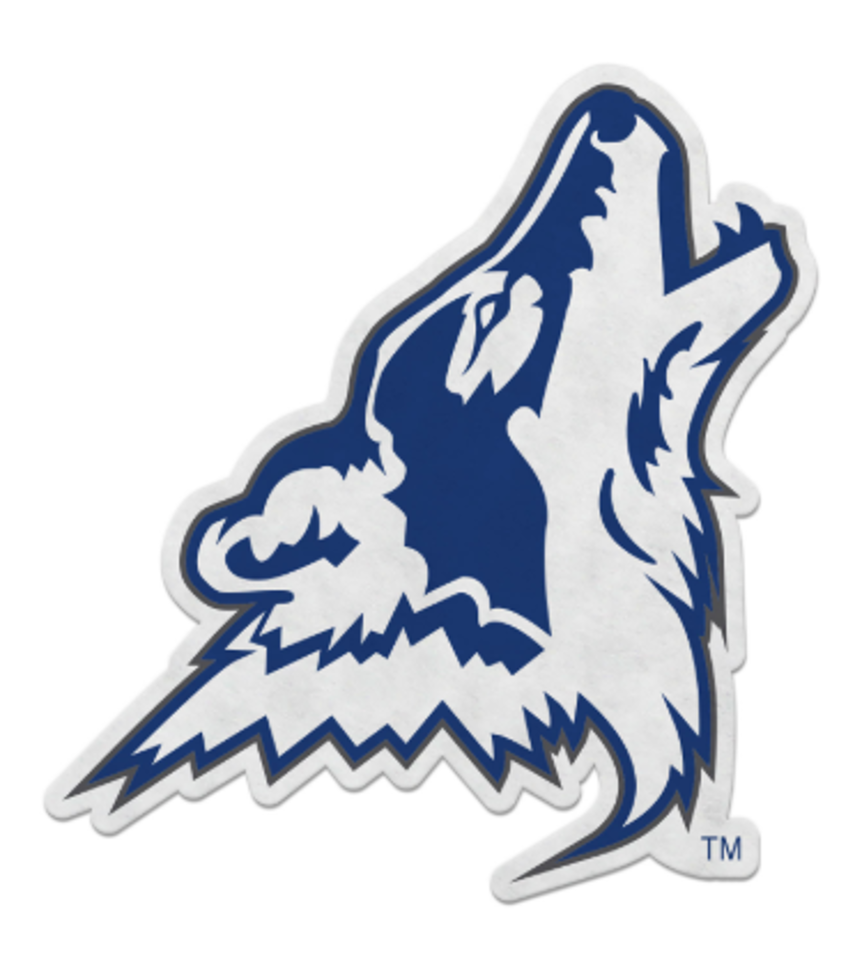 image of: CSN SHAPE CUT PENNANT COYOTE