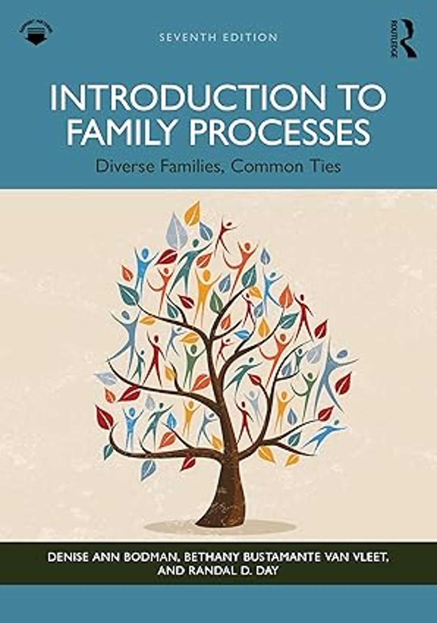 Cover image for Introduction to Family Processes : Diverse Families, Common Ties