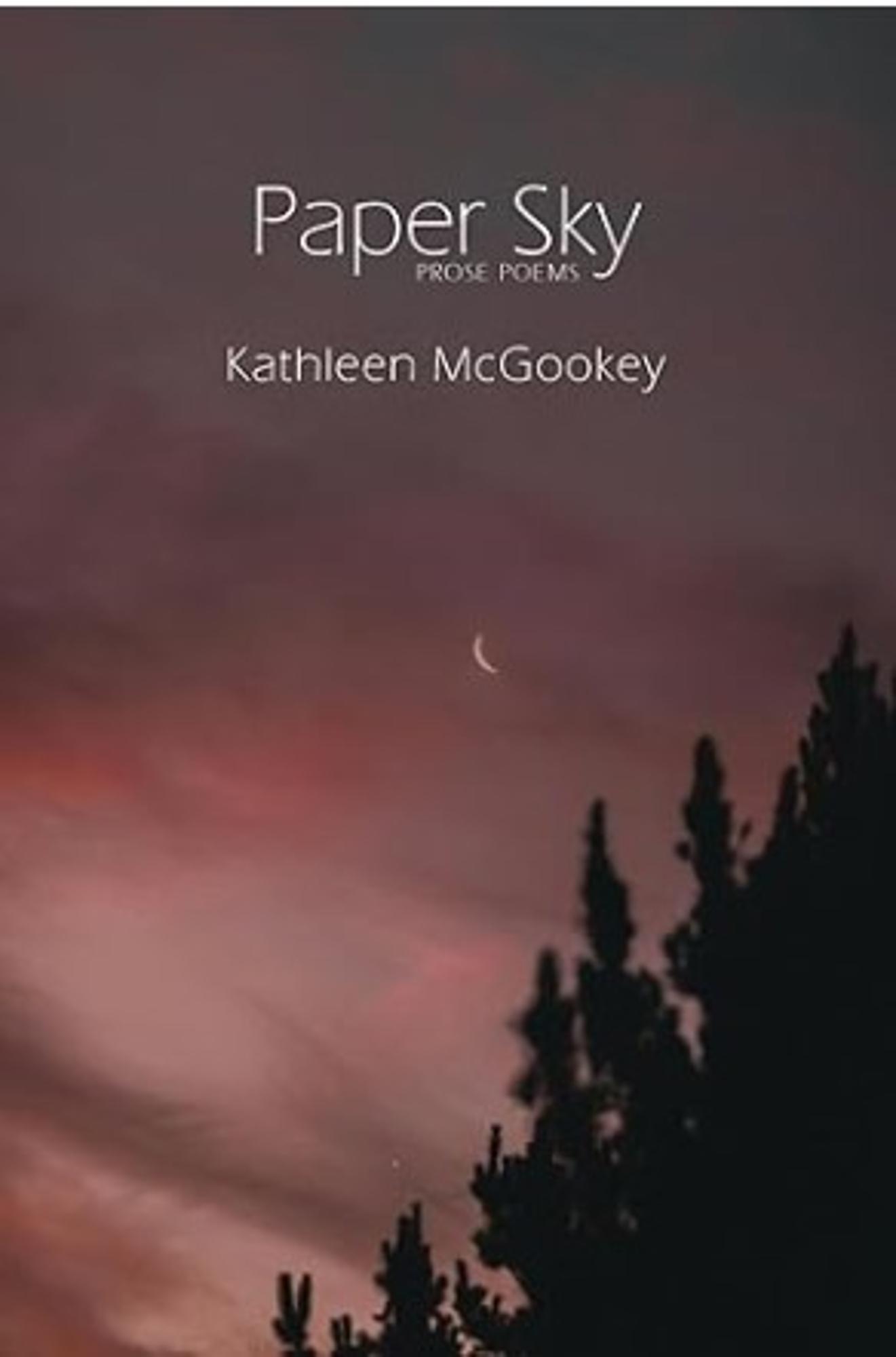 Cover image for Paper Sky: Prose Poems