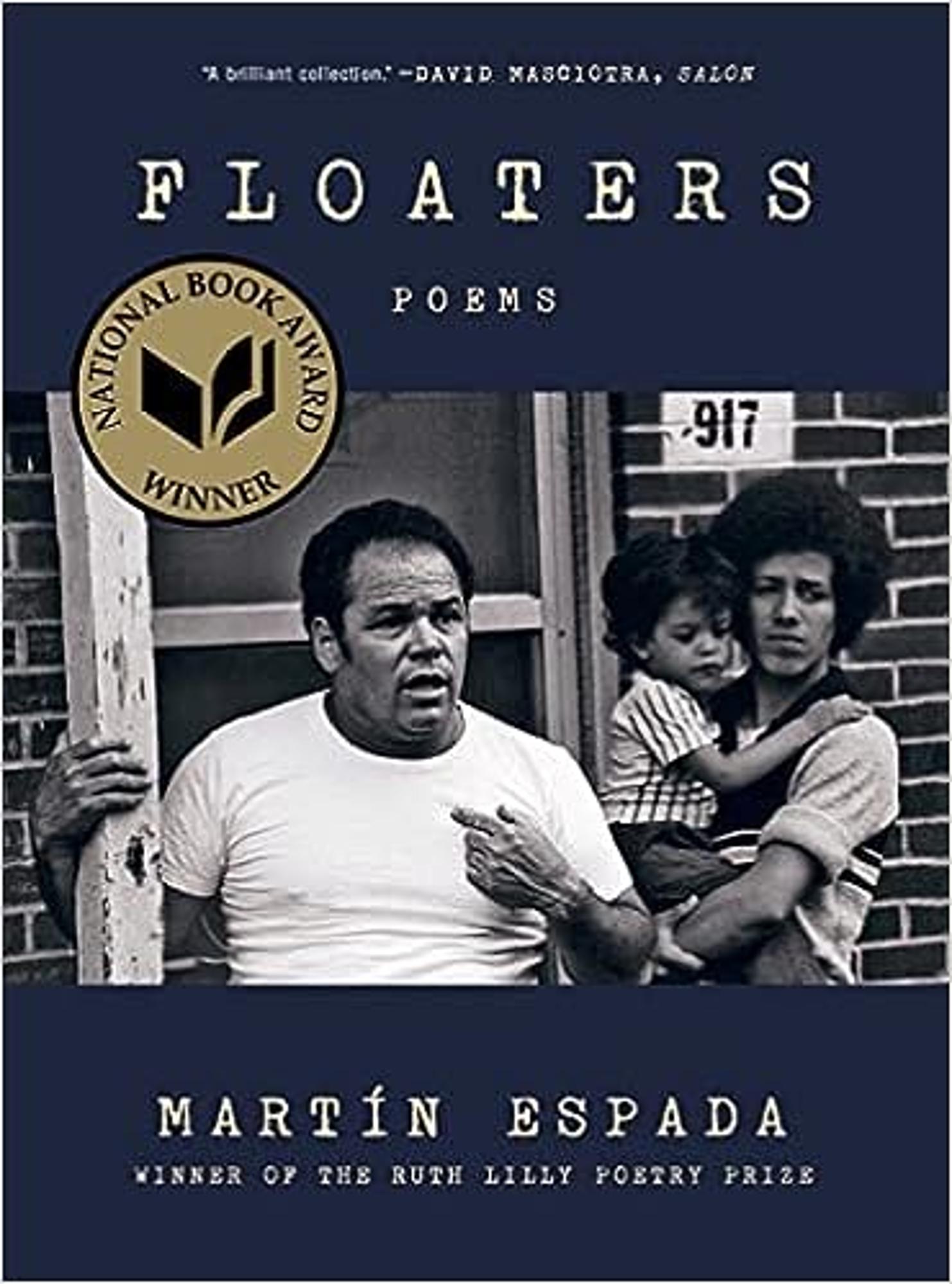 Cover image for FLOATERS