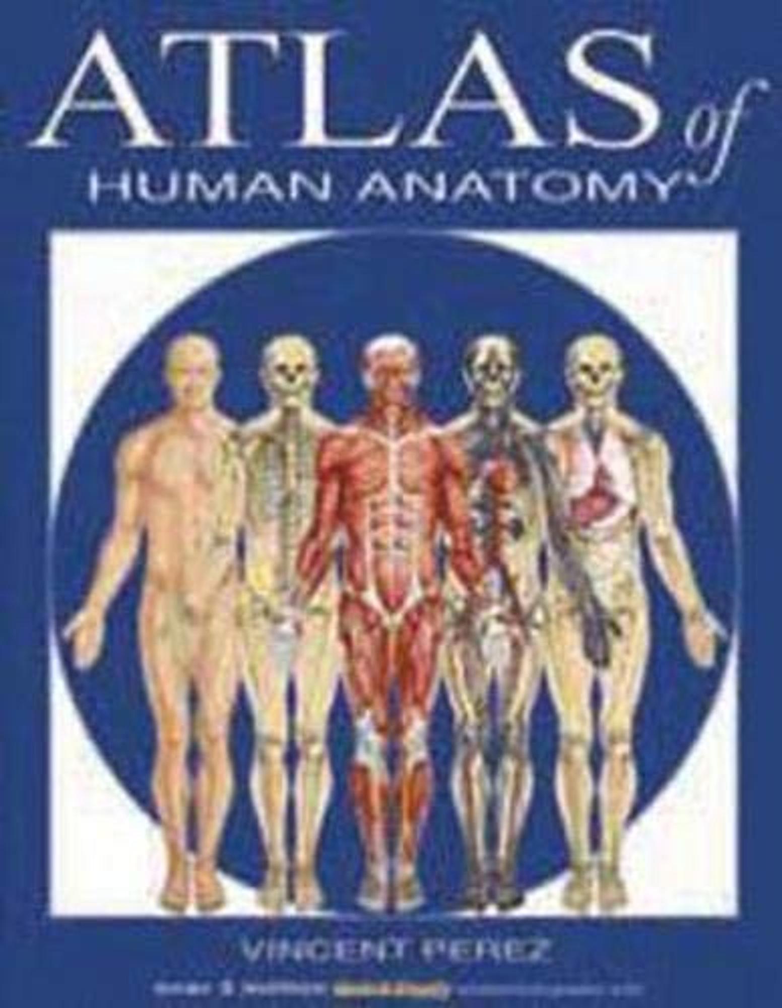 image of: BarCharts / Atlas of Human Anatomy