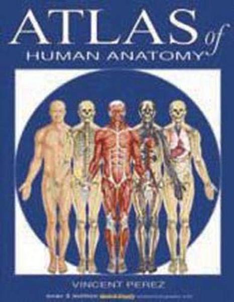 BarCharts / Atlas of Human Anatomy; $34.95