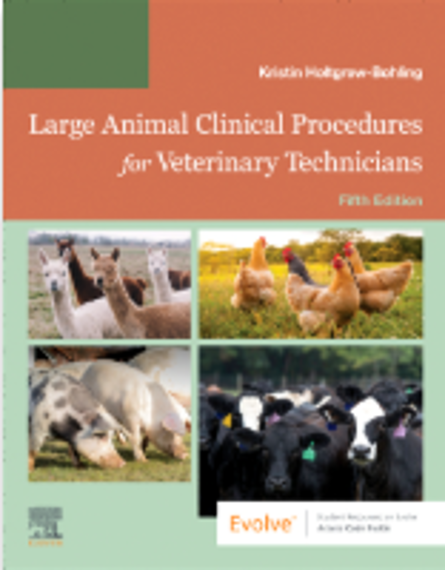 Cover image for LARGE ANIMAL CLIN.PROCEDURES..-W/ACCESS