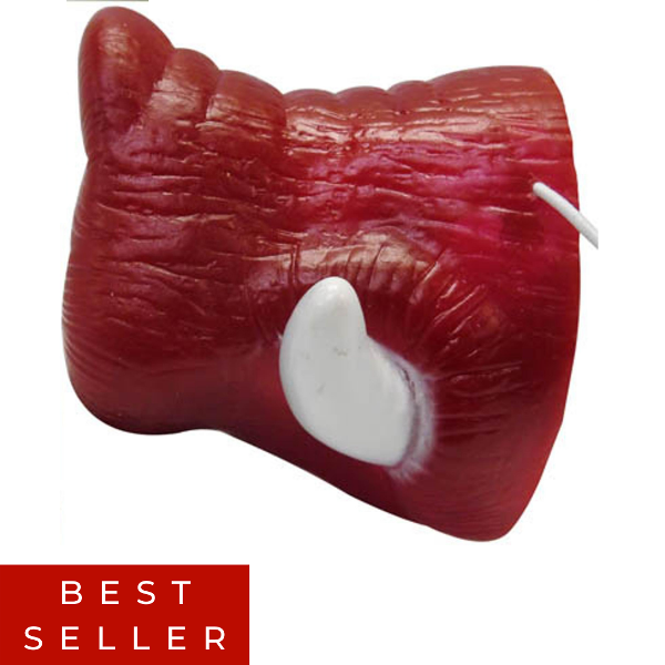 Arkansas Razorbacks Hog Nose Tusk; $4.99