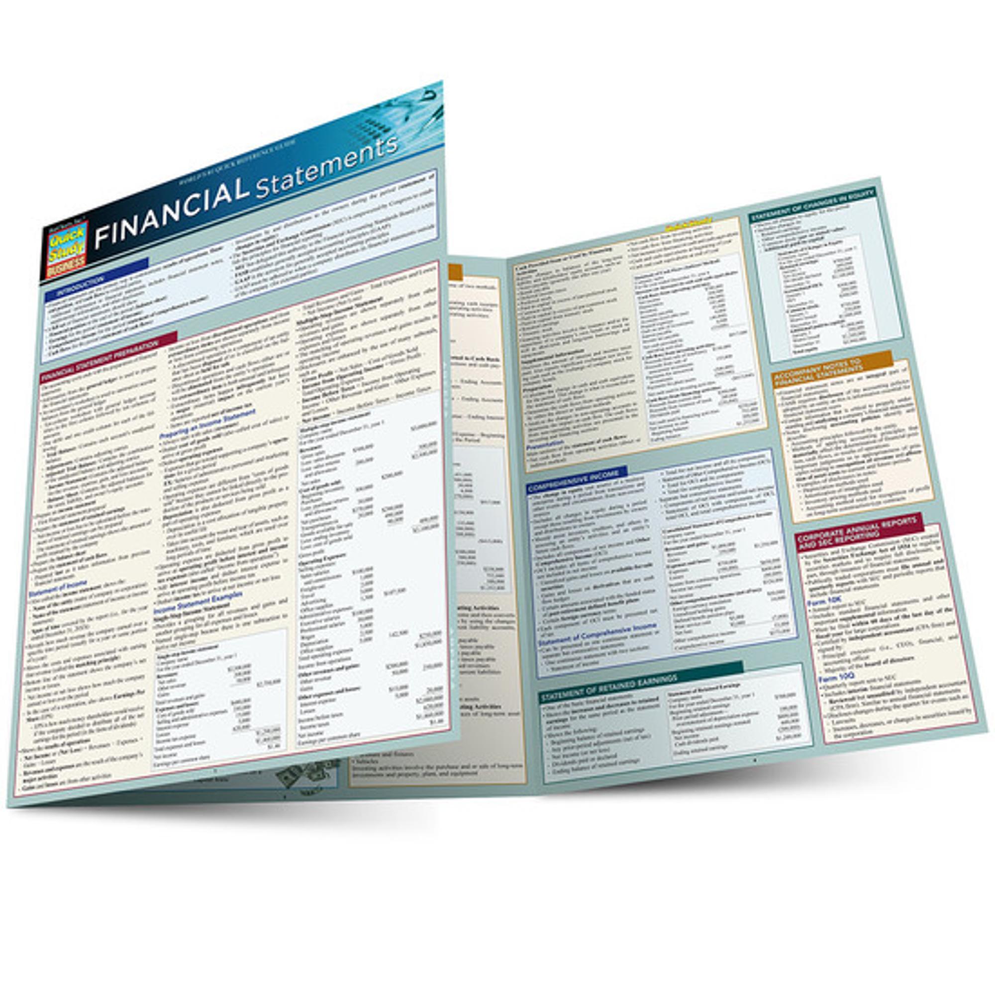 Cover image for FINANCIAL STATEMENTS LAMINATED STUDY GUIDE