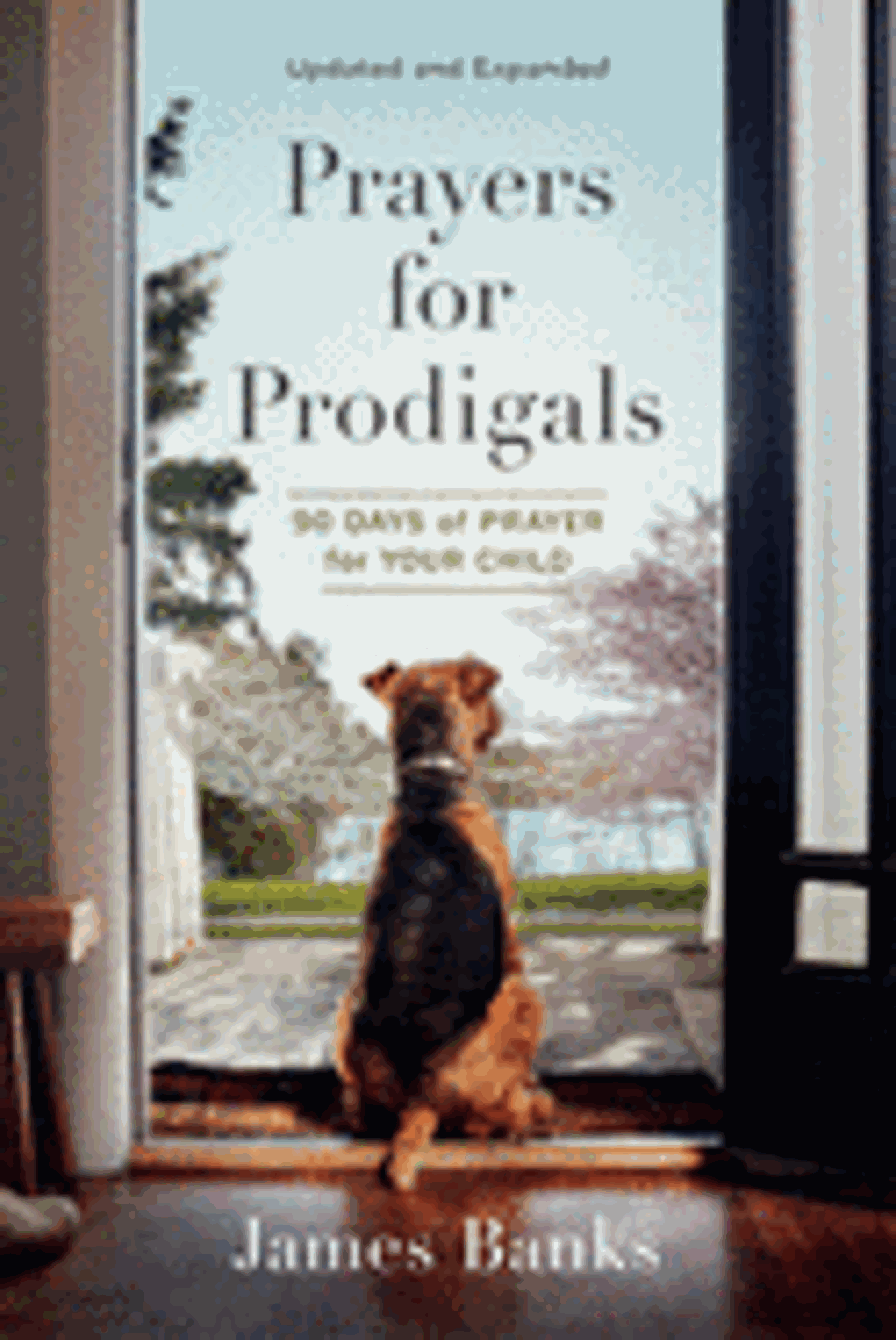 Cover image for Prayers for Prodigals 90 Days of Prayer for your Child