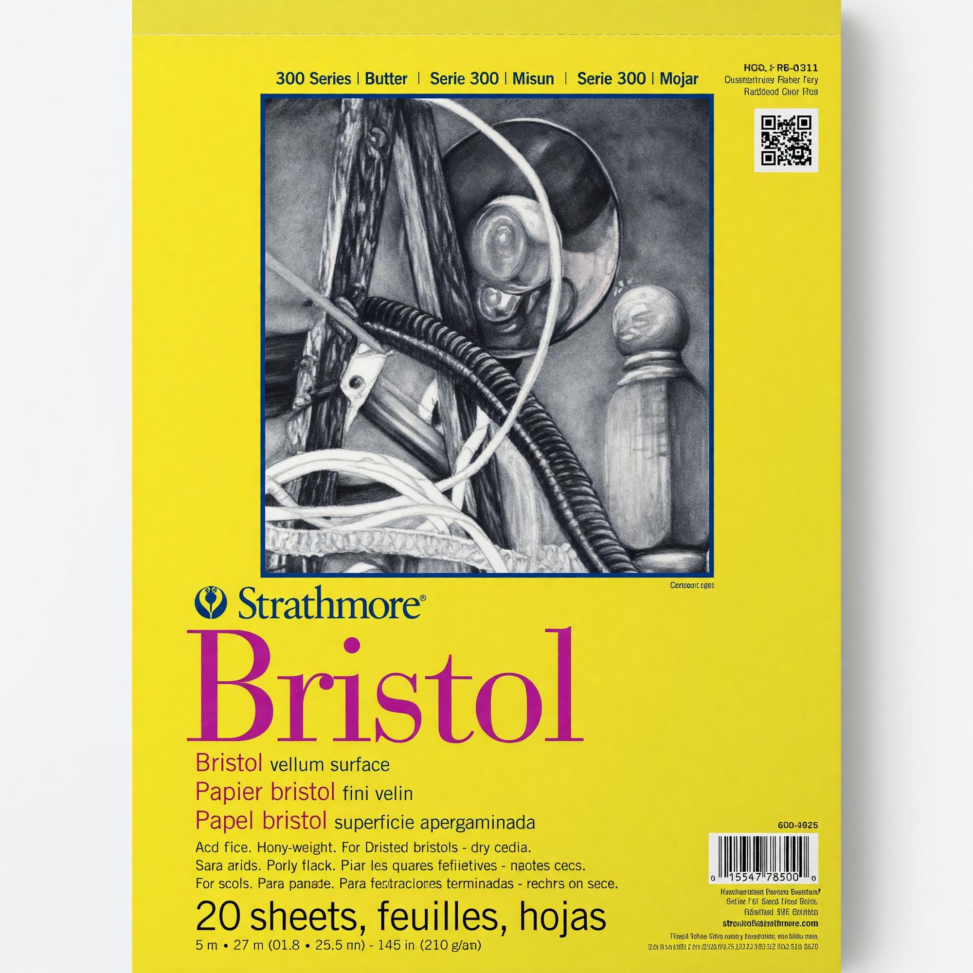 Product image 1 of 1 for BRISTOL PAPER 300 22X28