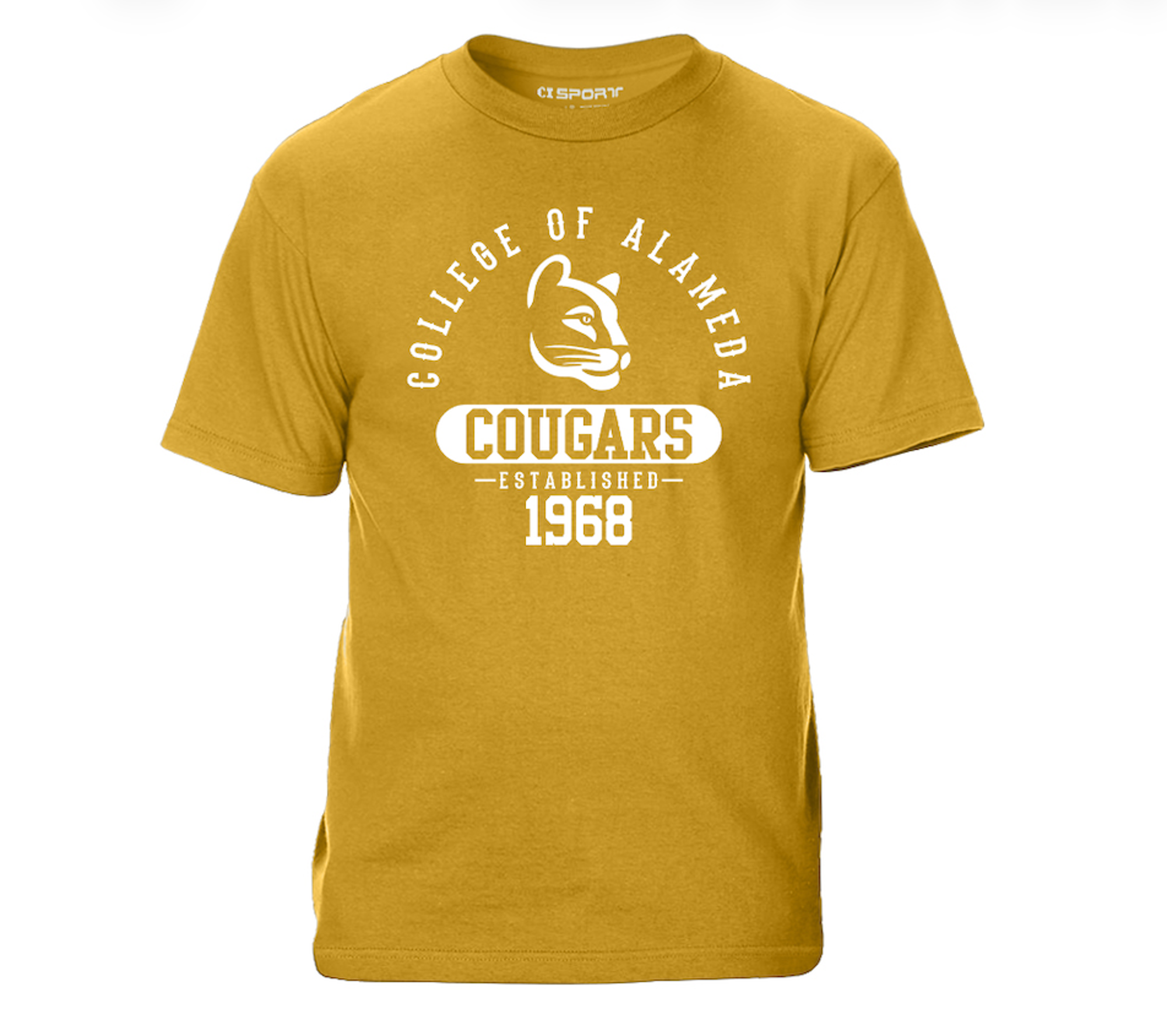 Product image 1 of 4 for PCC ALAMEDA SS TEE VT CHAOS