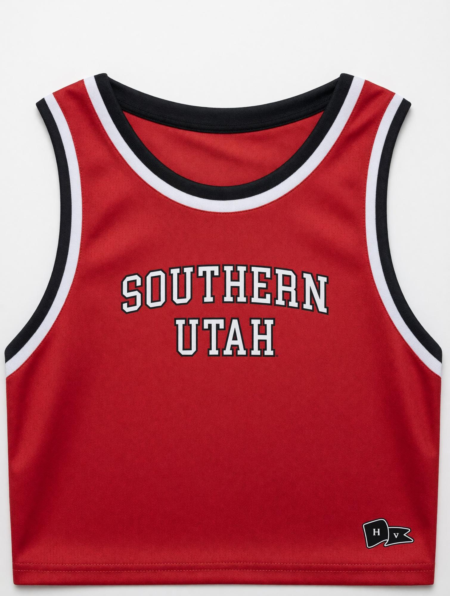 Product image 1 of 1 for HYPE & VICE CROPPED BASKETBALL JERSEY
