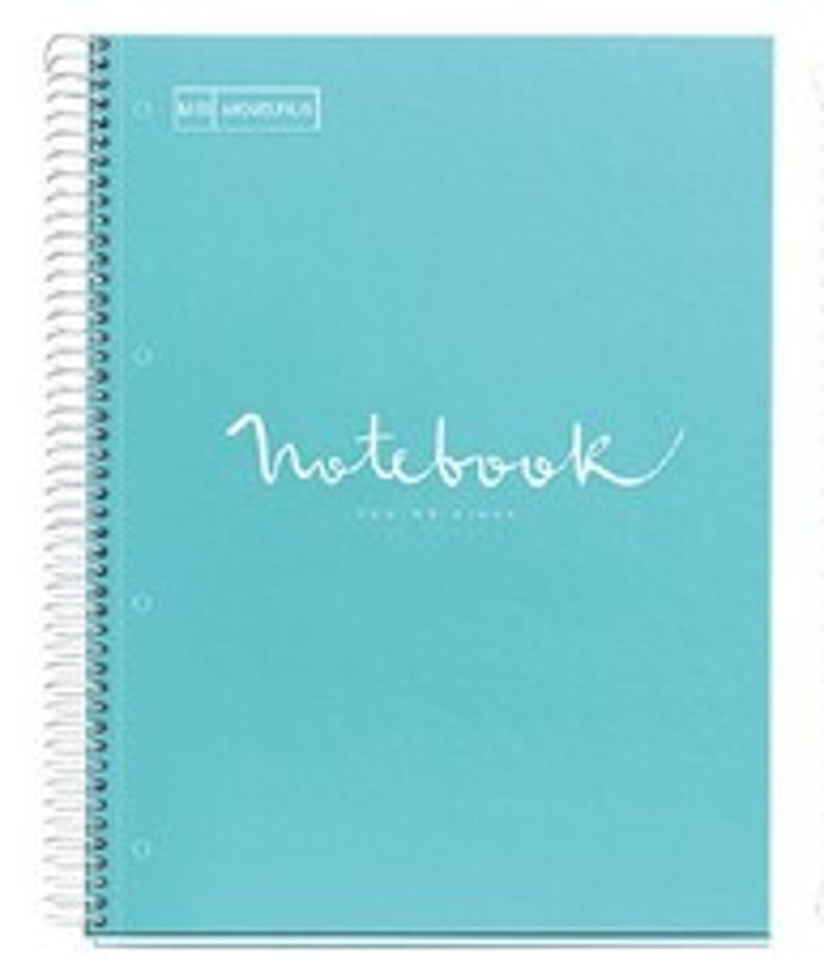 Variant 5 of 8 for Emotions Notebook 1 Subject