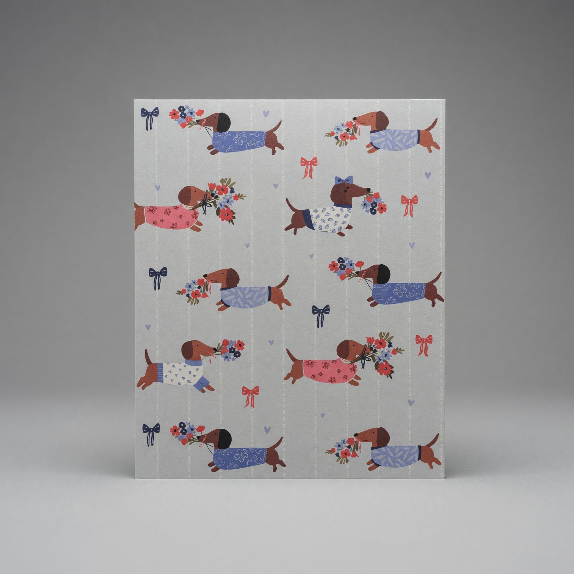 Variant 7 of 7 for FOLDER 2 POCKET Studio Series Set 2