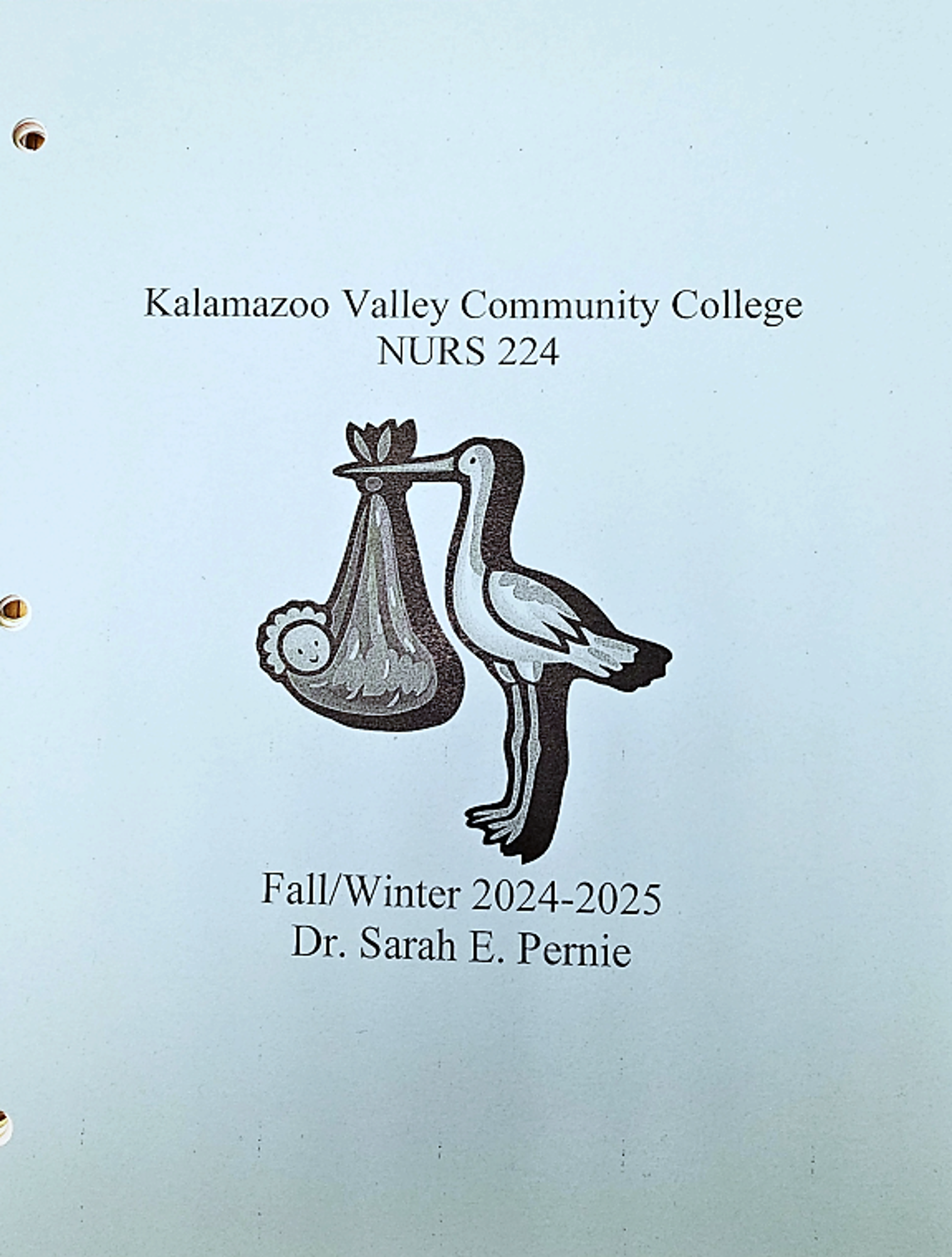 Cover image for -NURS 224 Coursepack - Fall 24/Winter 25