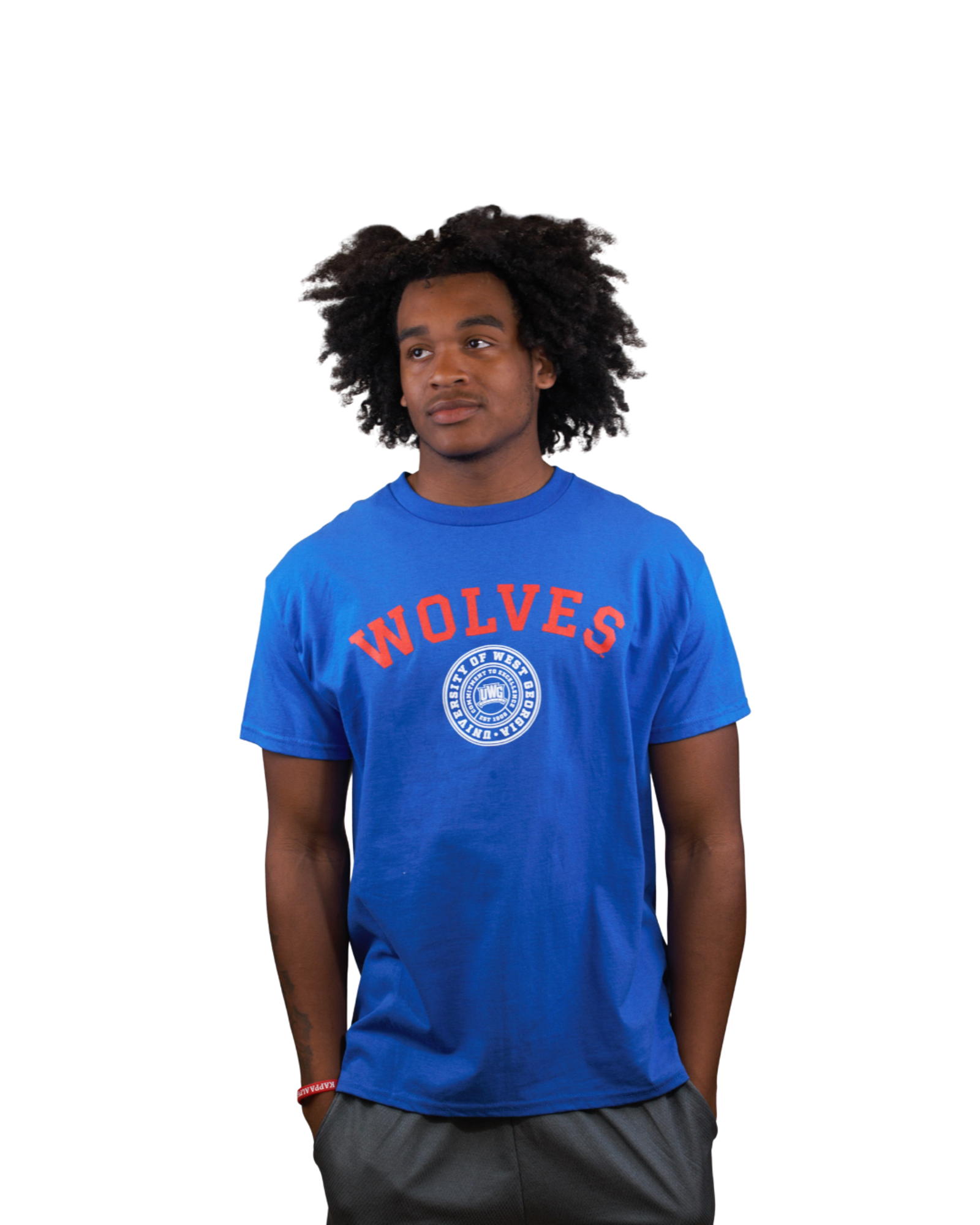 Product image 2 of 3 for WOLVES SEAL TEE