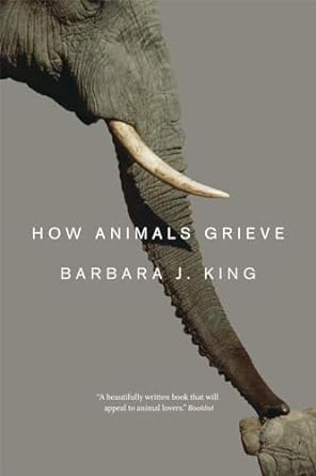 Cover image for HOW ANIMALS GRIEVE