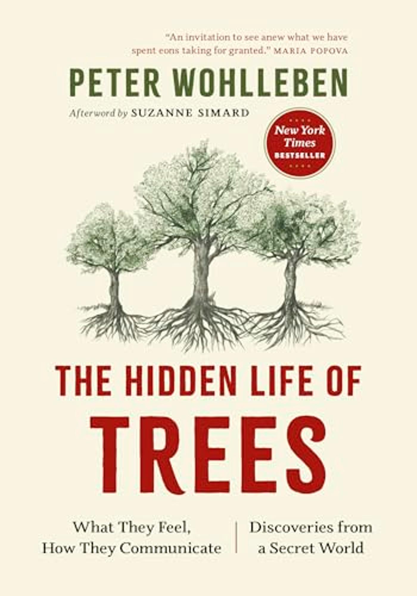 Product image 1 of 1 for The Hidden Life of Trees: What They Feel, How They Communicate--Discoveries from a Secret World
