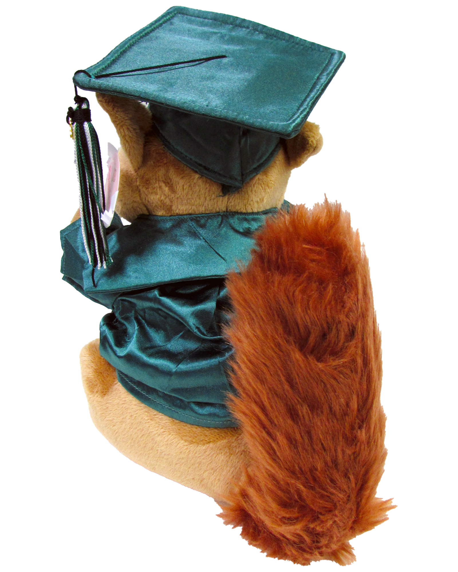 Product image 2 of 3 for Graduation Squirrel Green Cap & Gown 11"