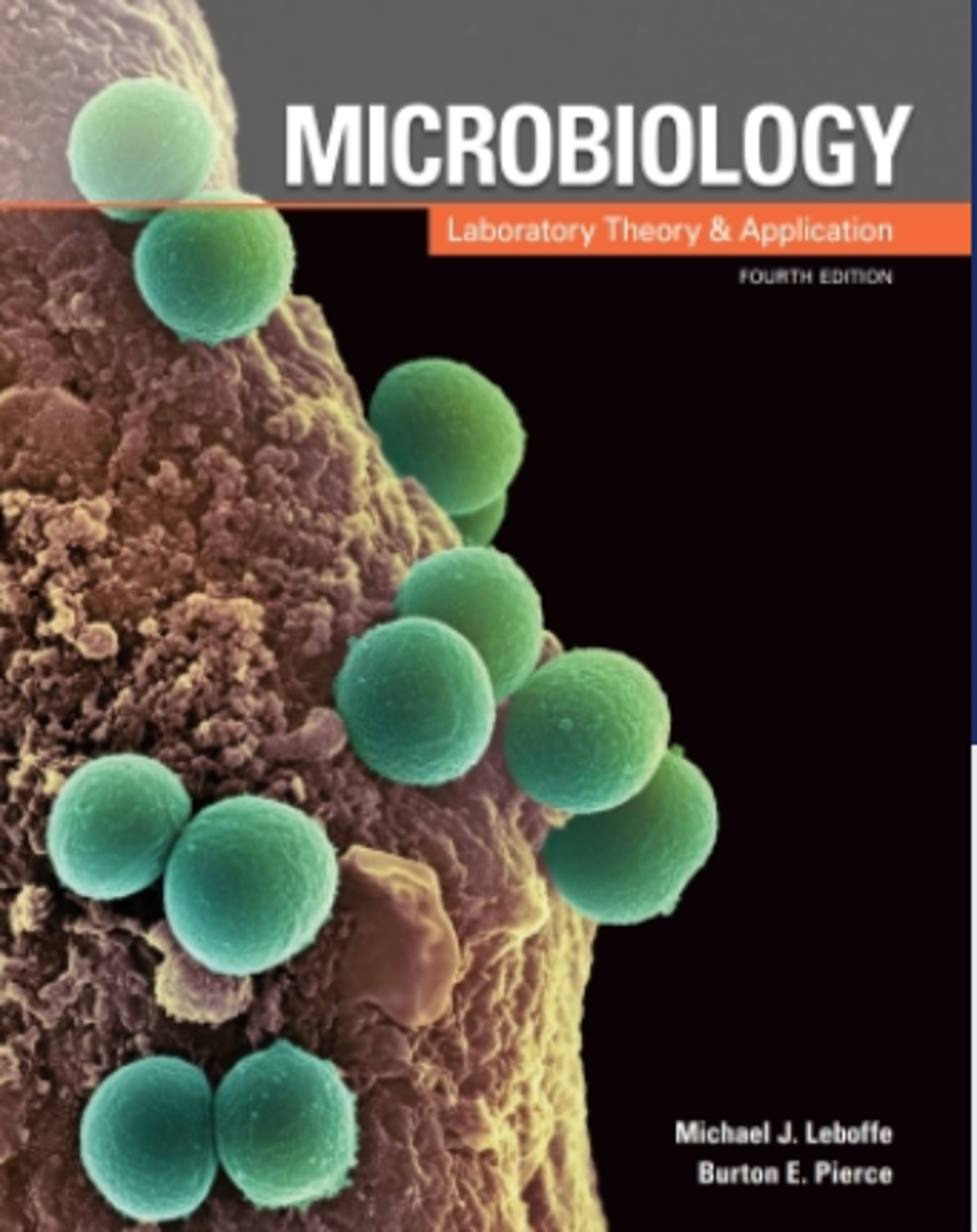 Cover image for Microbiology: Laboratory Theory & Application