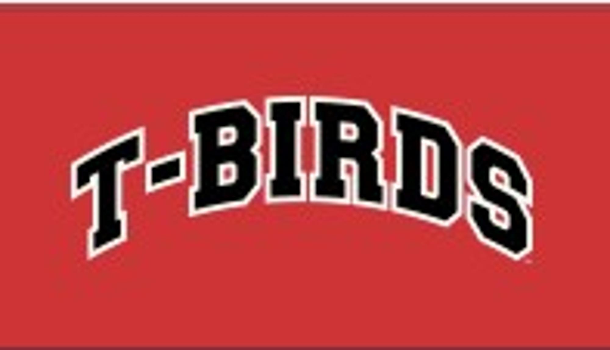 Product image 1 of 1 for LEGACY DIANA MOCK NECK RED CREW T-BIRDS