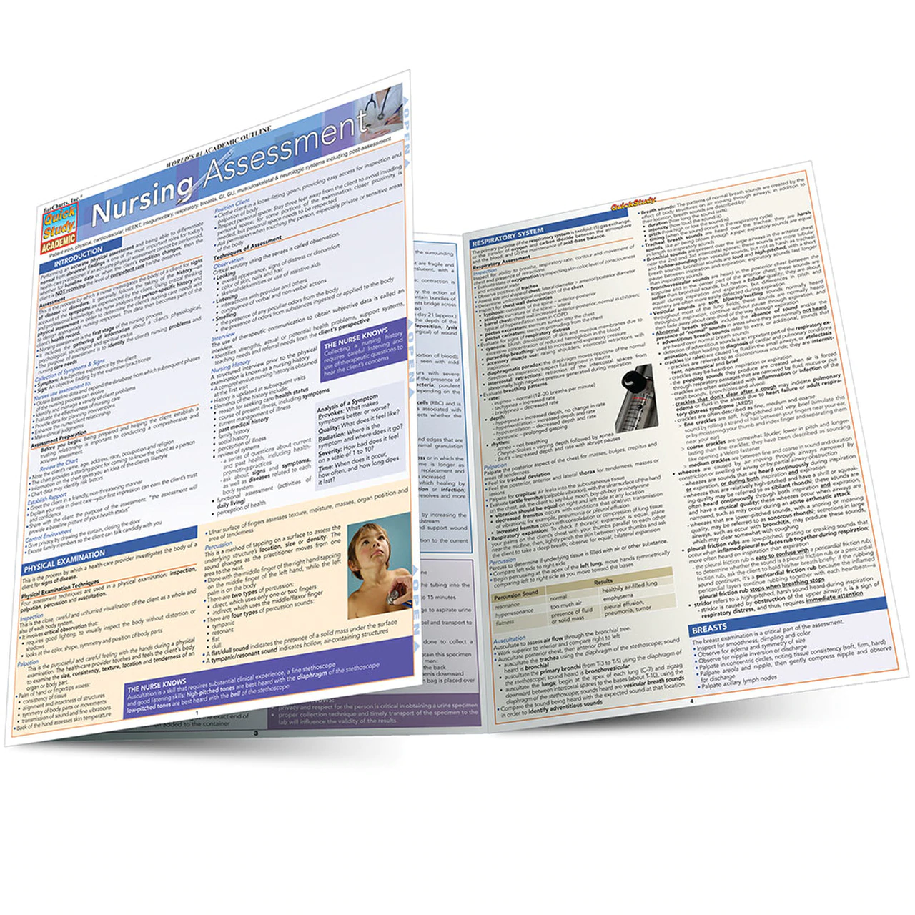 Cover image for NURSING ASSESSMENT LAMINATED STUDY GUIDE