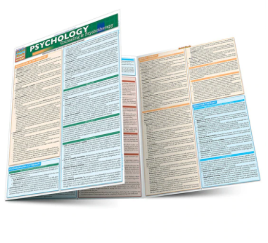 Cover image for PSYCHOLOGY: COUNSELING & PSYCHOTHERAPY LAMINATED STUDY GUIDE