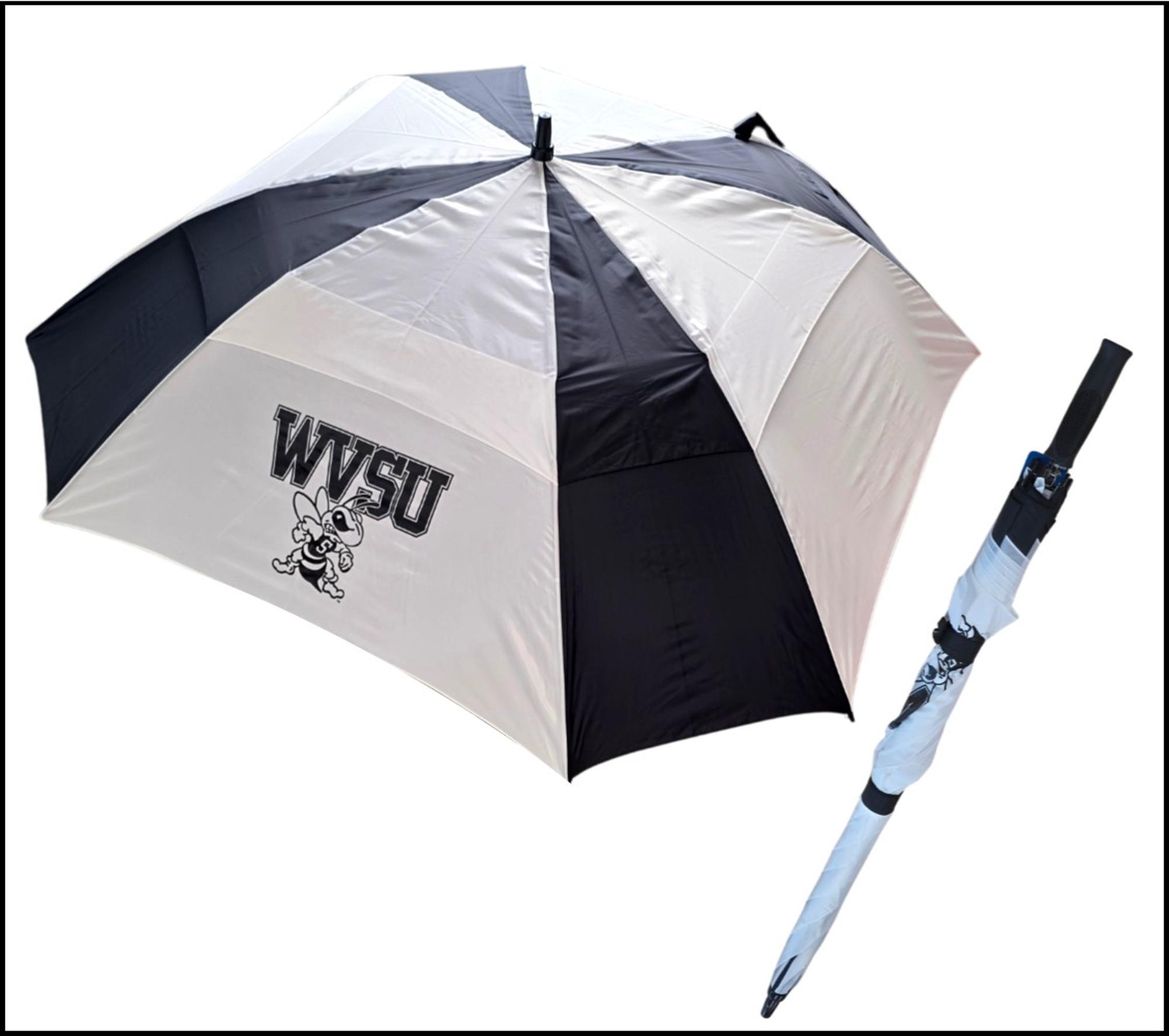 Enlarged product image