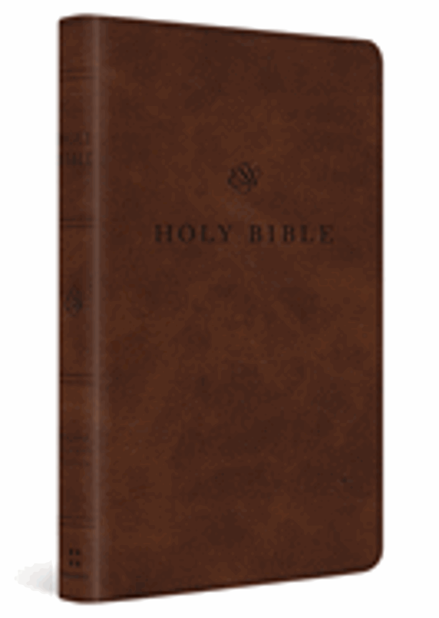 Cover image for ESV Premium Church Bible, Large Print (Trutone, Brown)