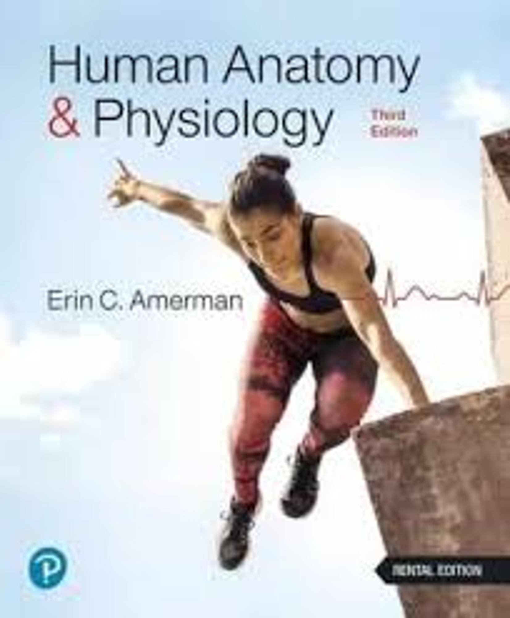 Cover image for Human Anat. & Phys. Lab Workbook