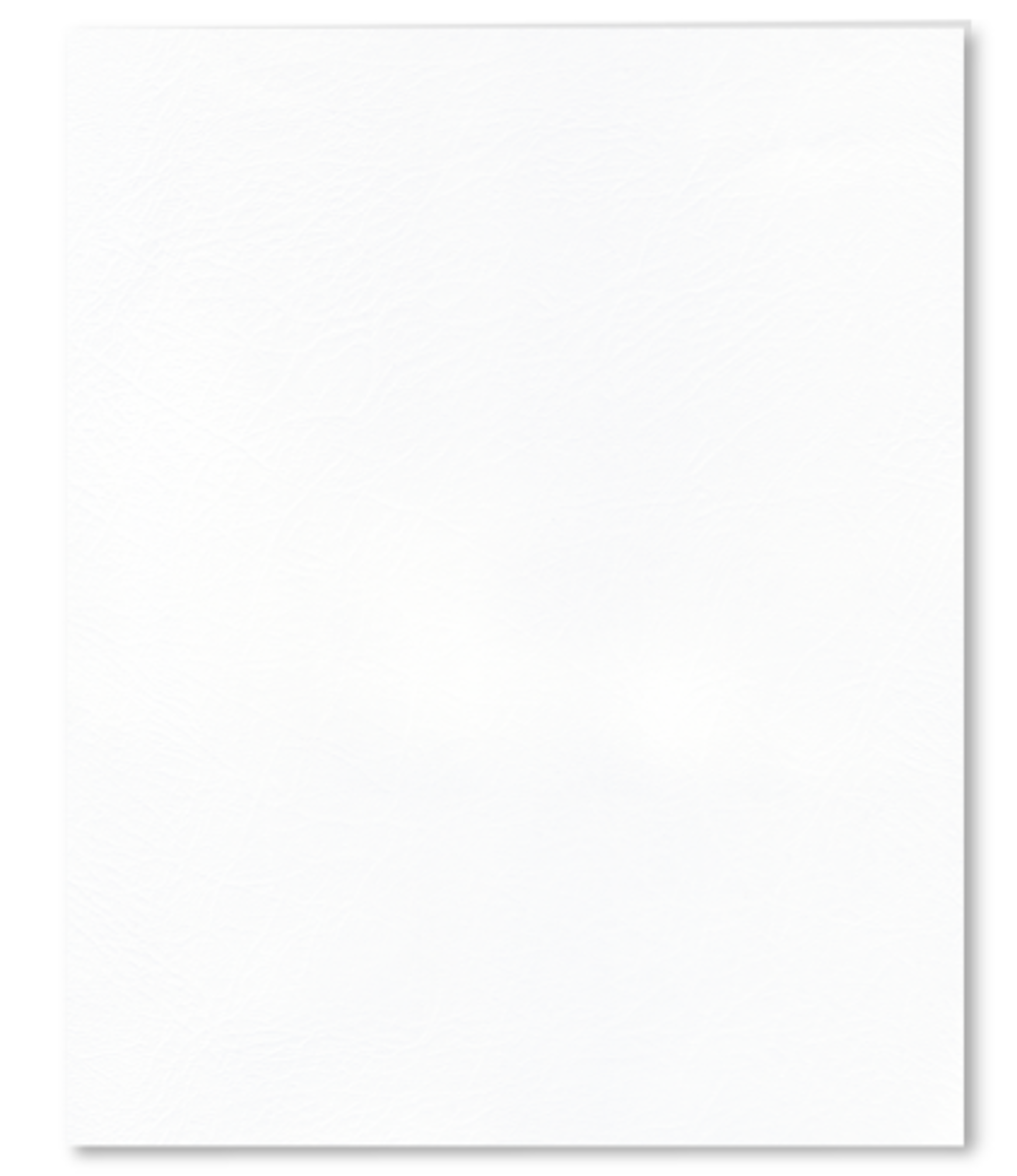 Variant 2 of 2 for Roaring Spring Paper Folder