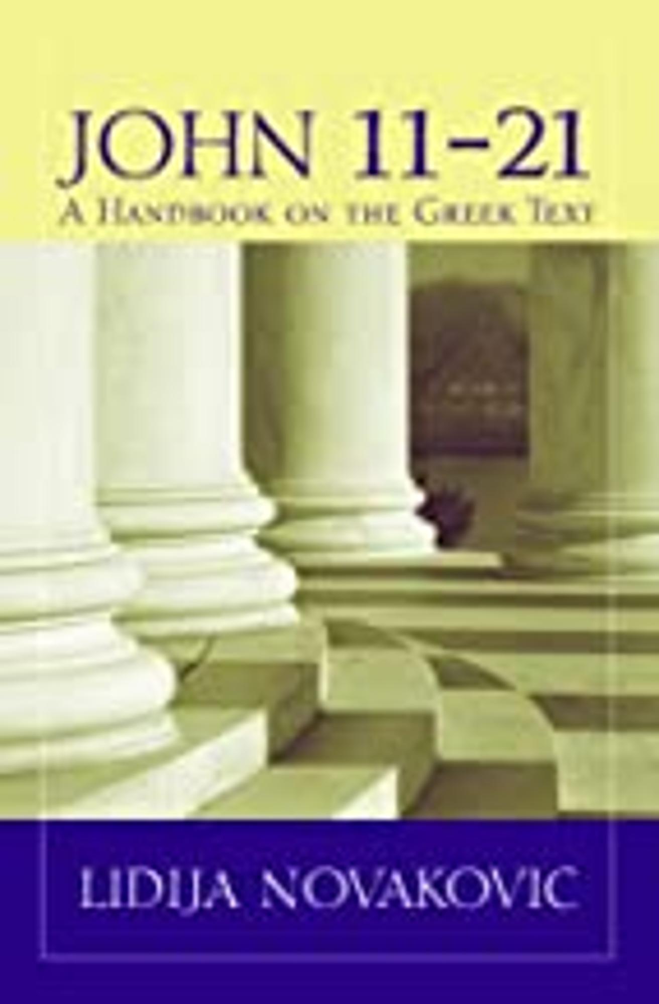 Cover image for John 11-21 : A Handbook on the Greek Text
