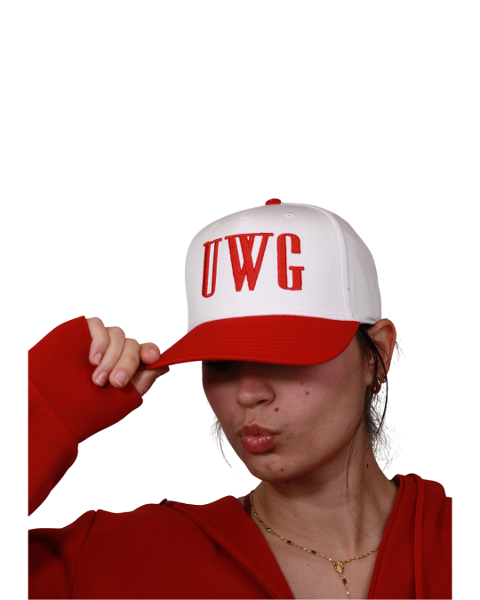 VINTAGE 3D PUFF CAP EMBROIDERED TWO TONE HAT; $32.00