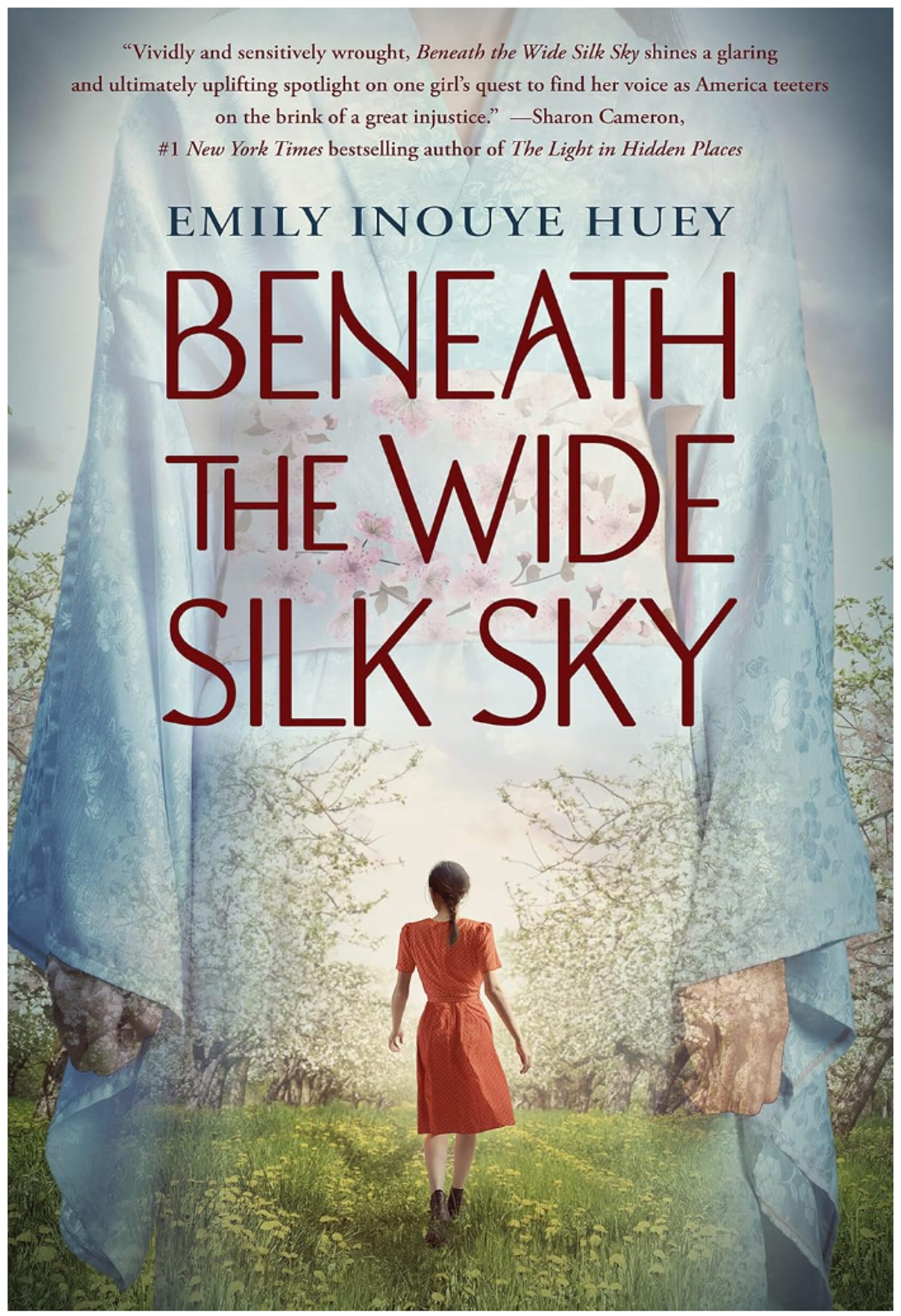 Cover image for BENEATH THE WIDE SILK SKY