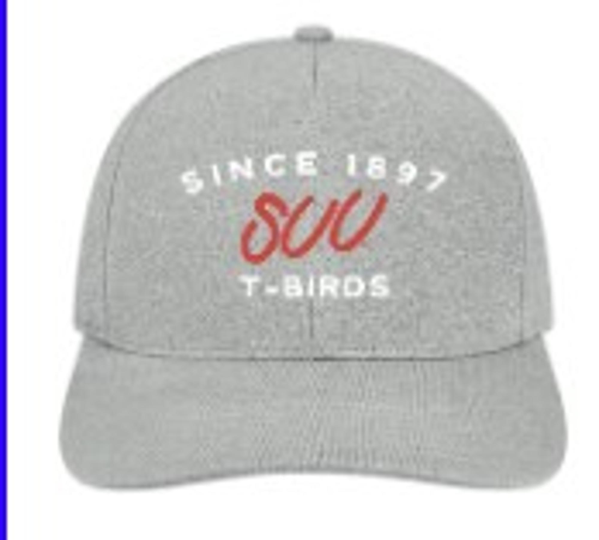 Product image 1 of 1 for LEGACY HAT GRAY 1897 SUU/TBIRDS