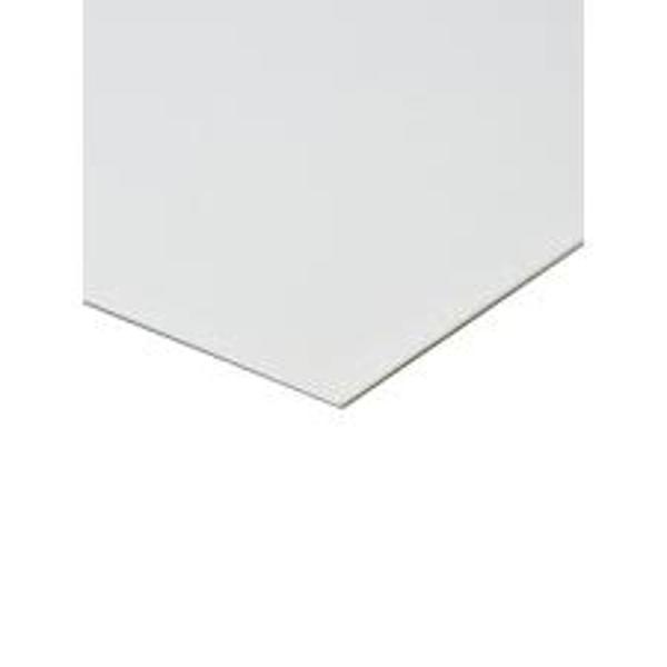 Illustration Board 500 Series 20x30in; $10.75