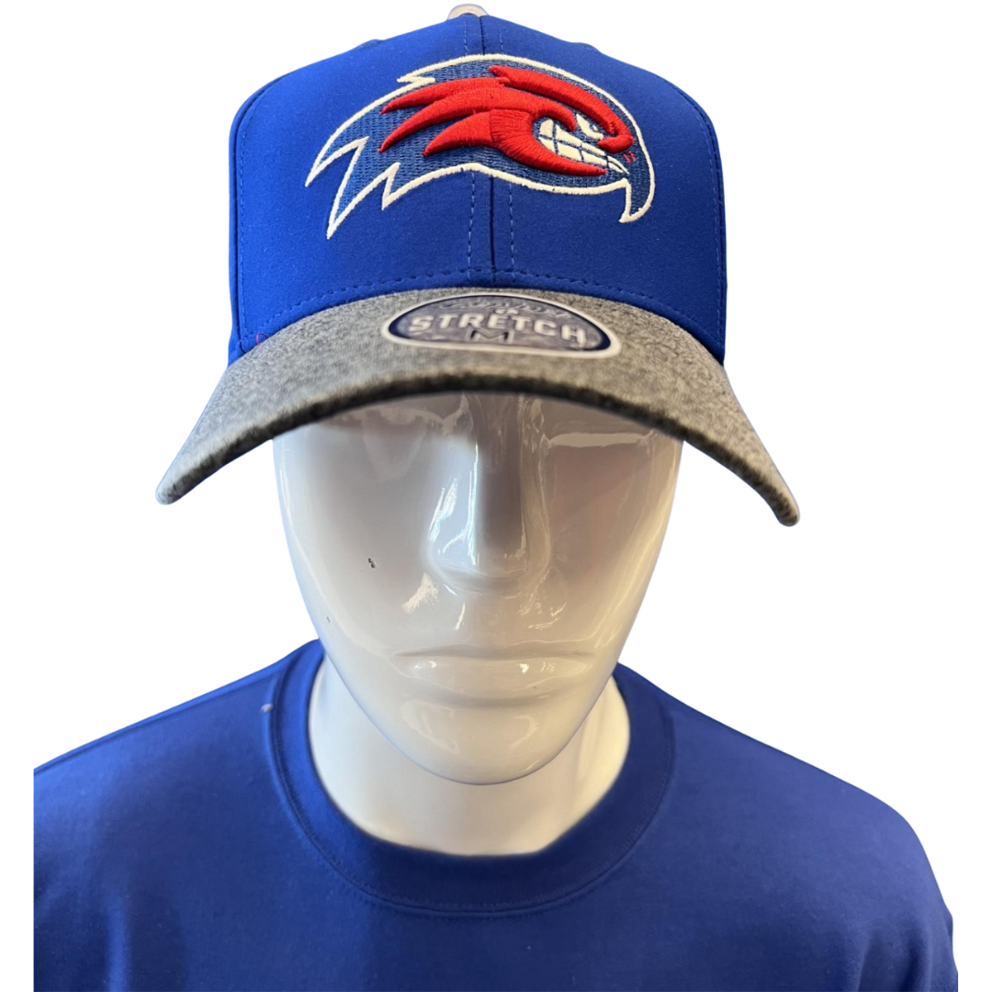 Enlarged product image