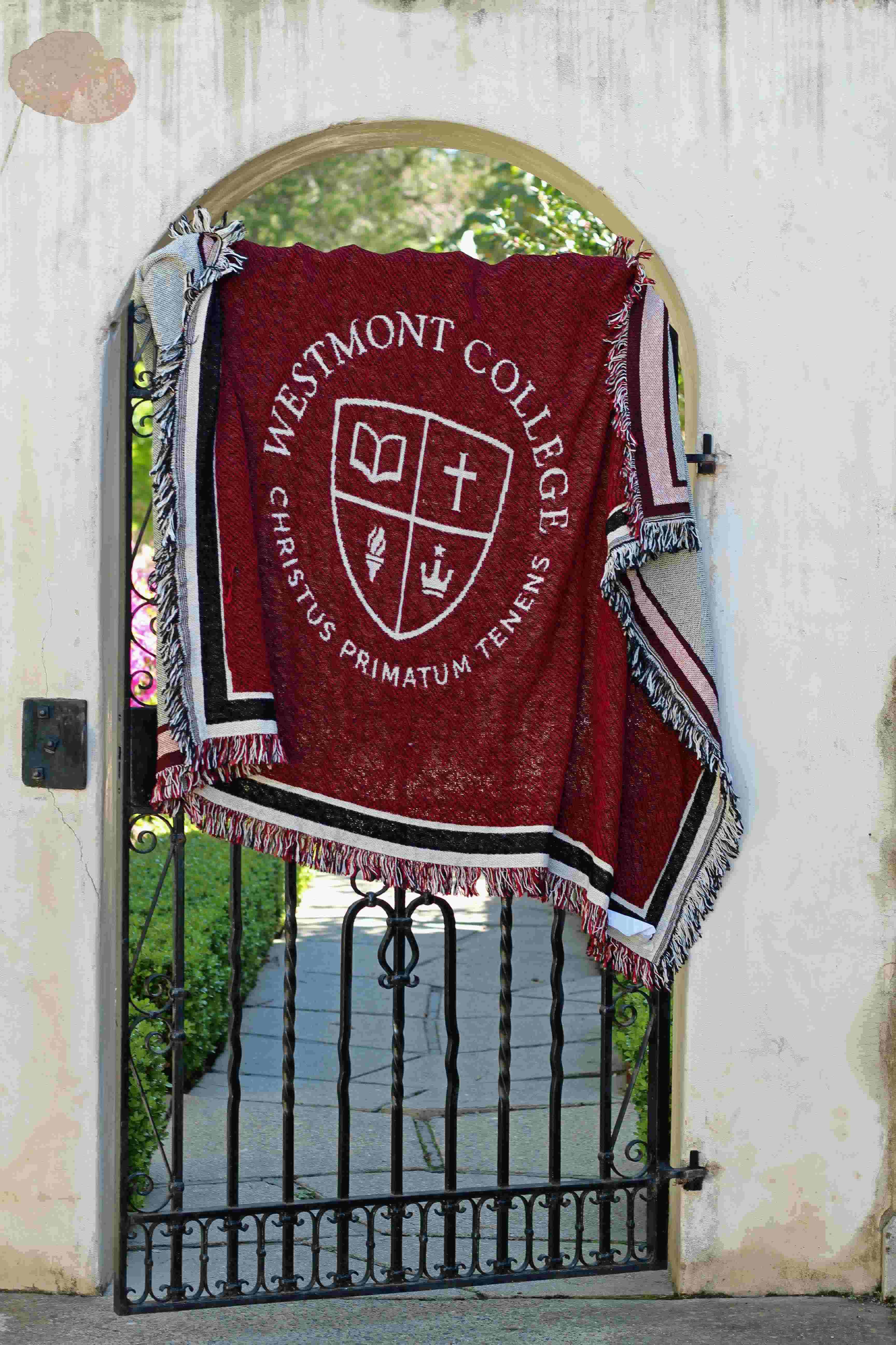 image of: Boxercraft Woven Afghan Blanket