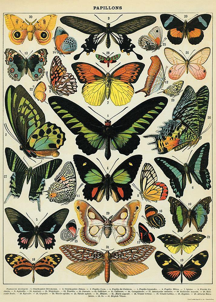 Enlarged product image