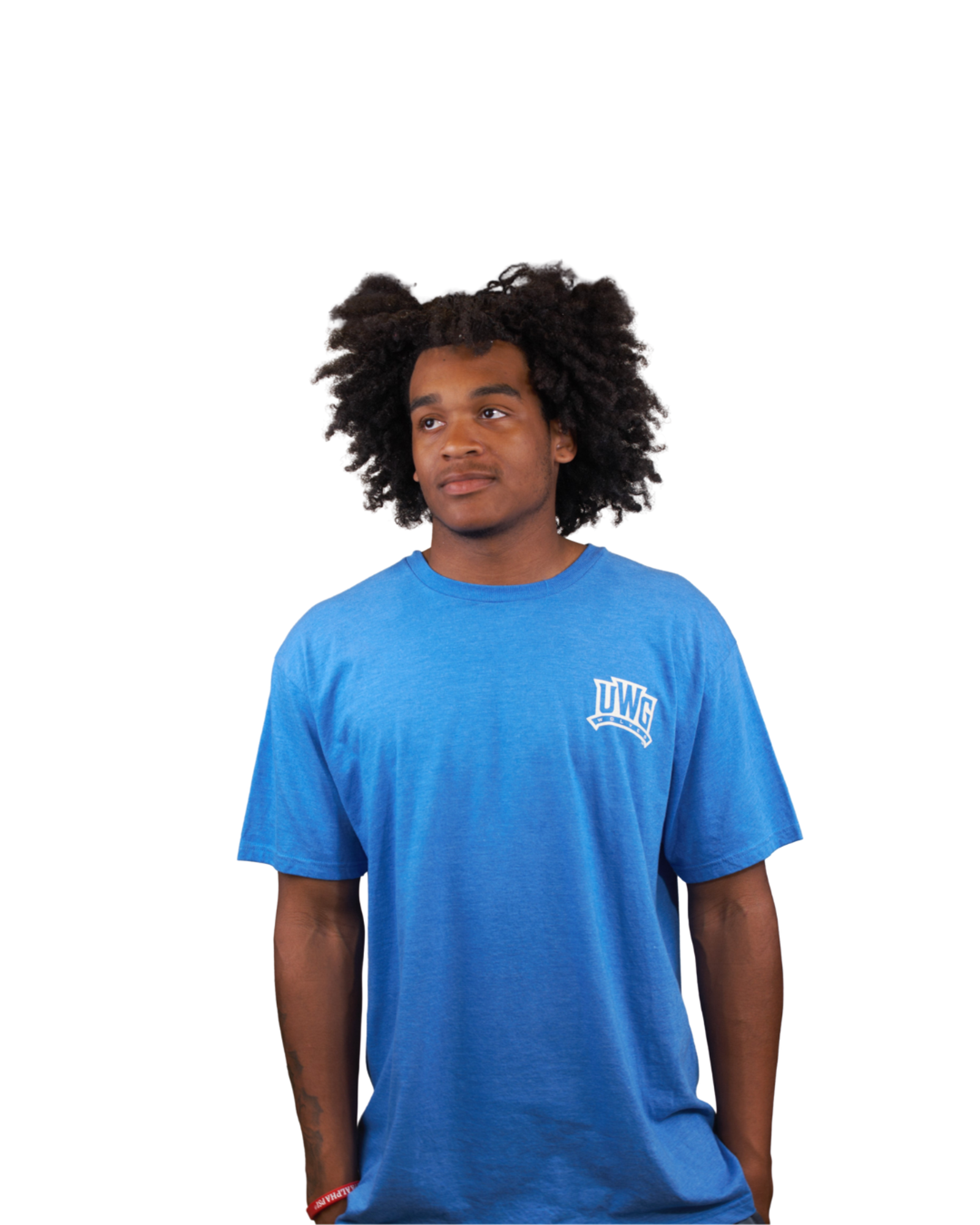 Product image 1 of 4 for UWG TAILGATING HOUND T-SHIRT