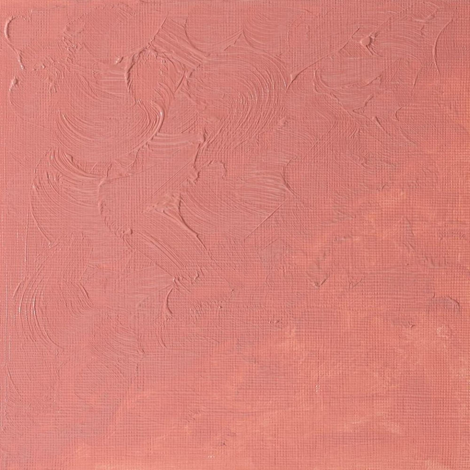 Variant image 21