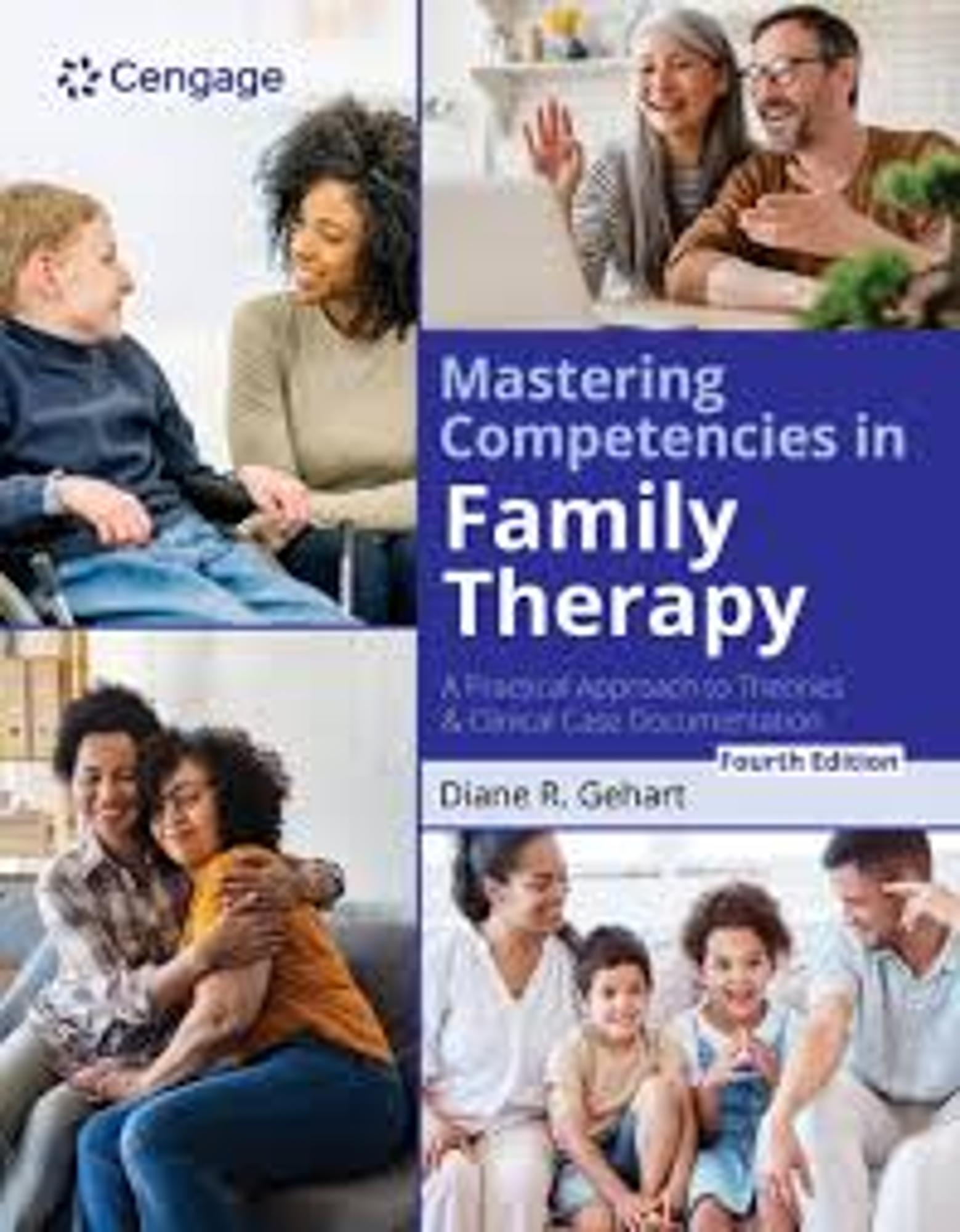 Cover image for MASTERING COMPETENCIES IN FAMILY...