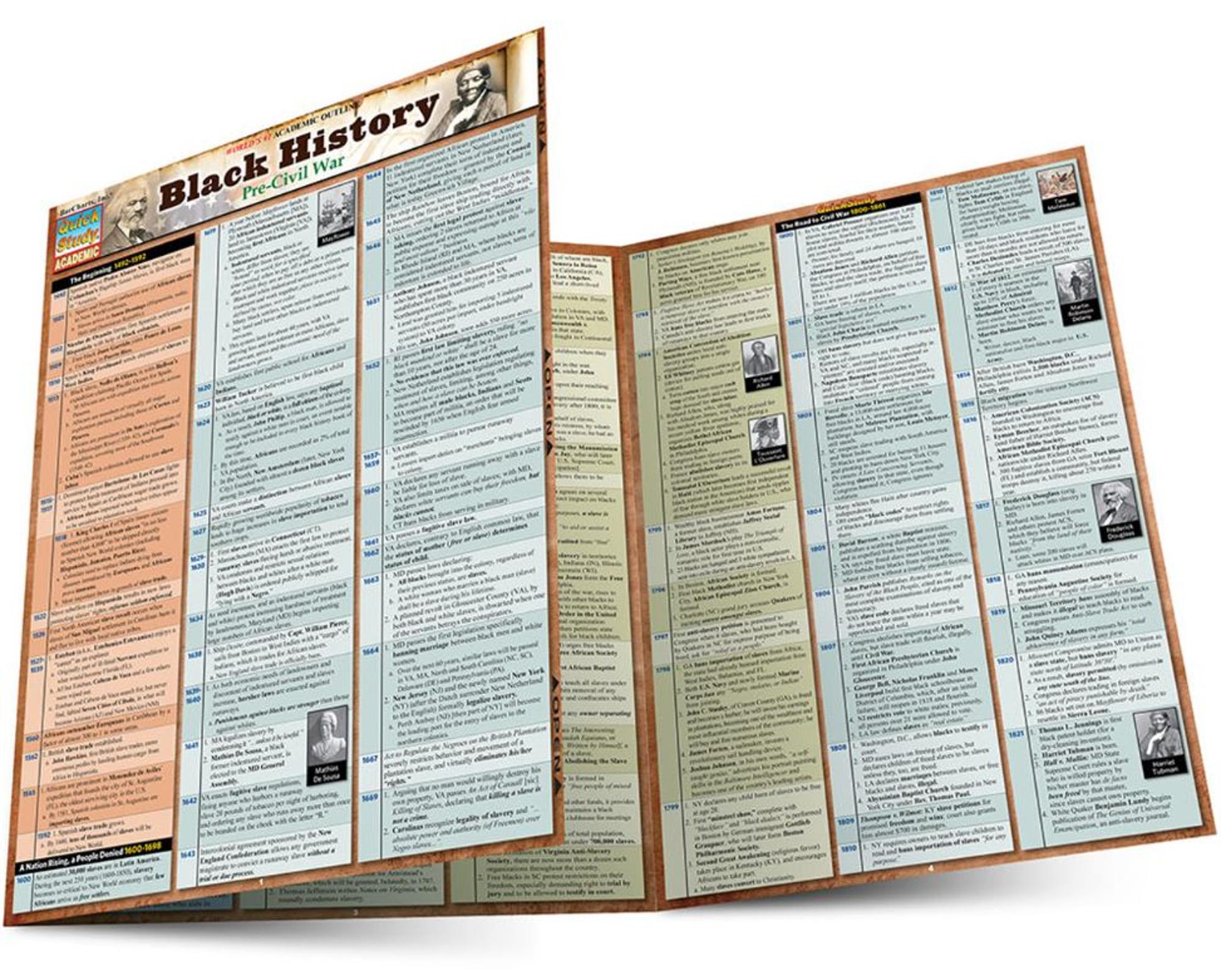 BARCHARTS / Black History: Pre-Civil War Laminated Study Guide