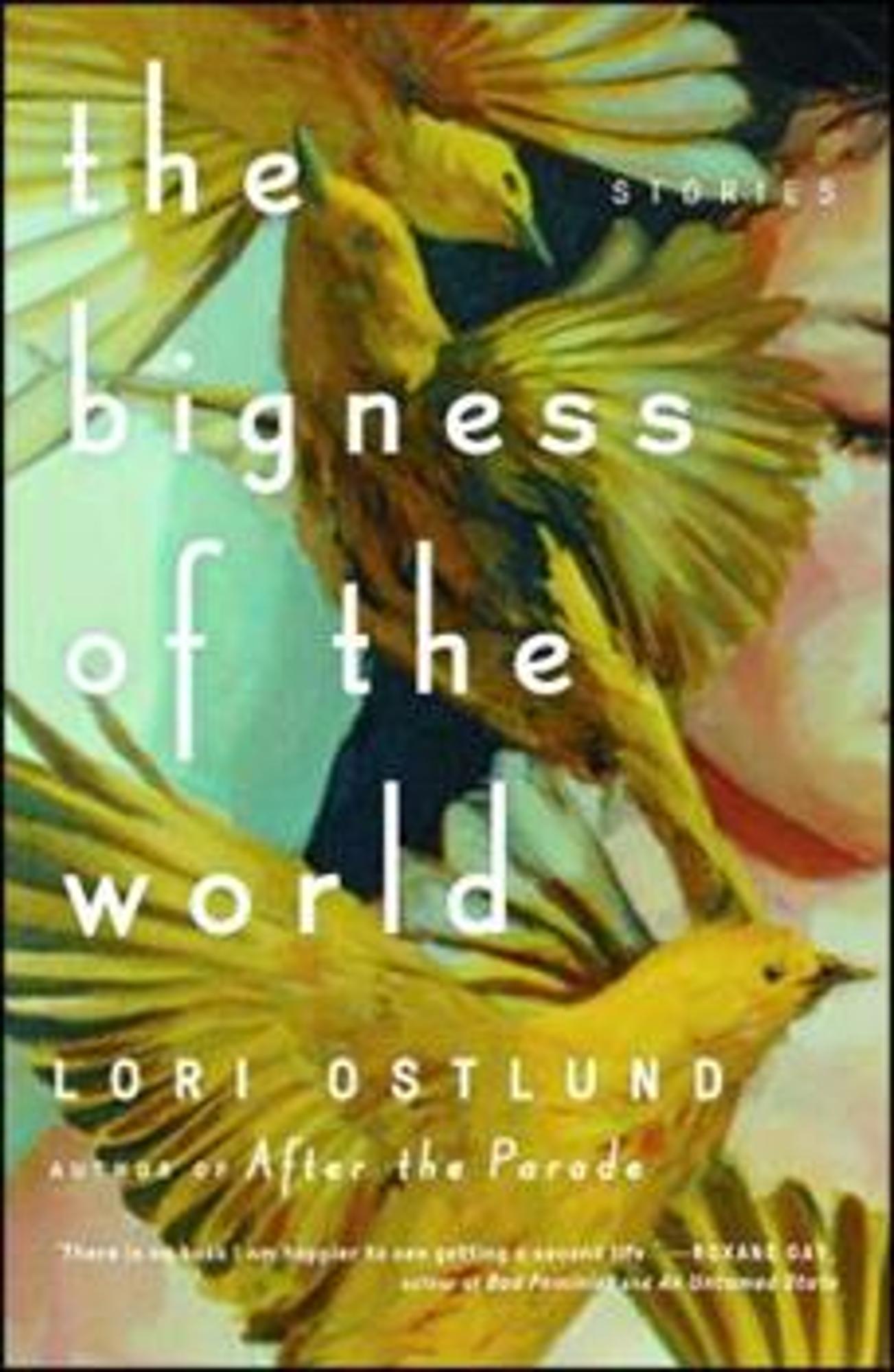 Cover image for The Bigness of the World