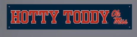 image of: Hotty Toddy Vinyl Banner 10x48in
