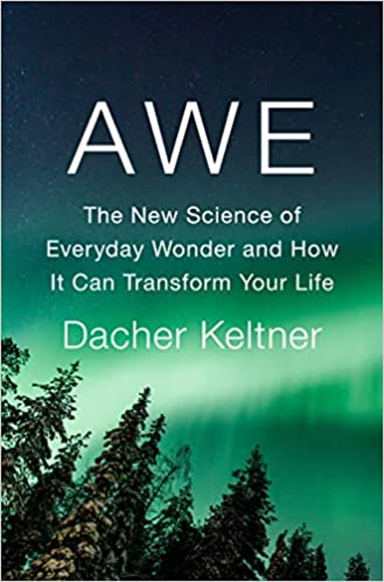 Cover image for AWE