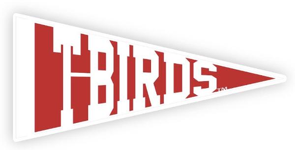T-BIRDS MAGNET ACRYLIC; $11.99