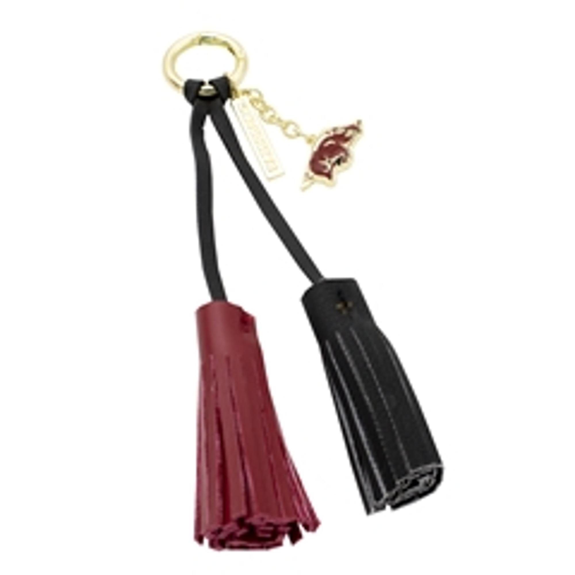 image of: Arkansas Razorbacks Tassle & Charm Accessory for Clear Bags
