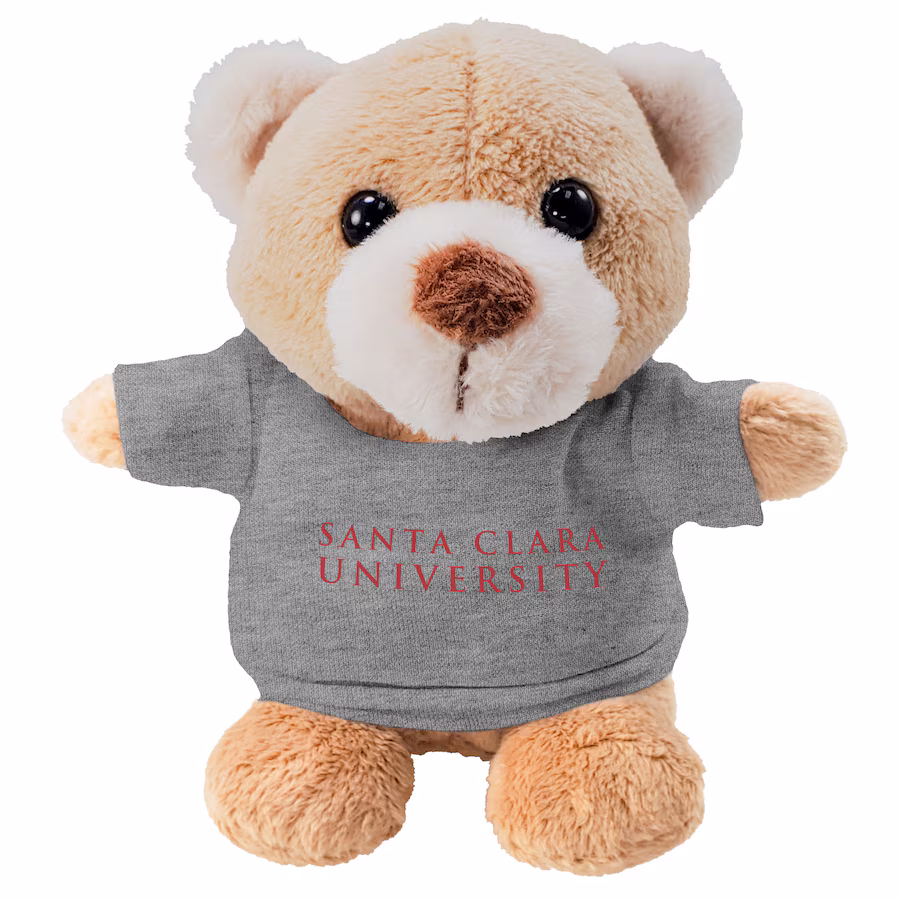 image of: Santa Clara Broncos Lil Stubbies, Bear