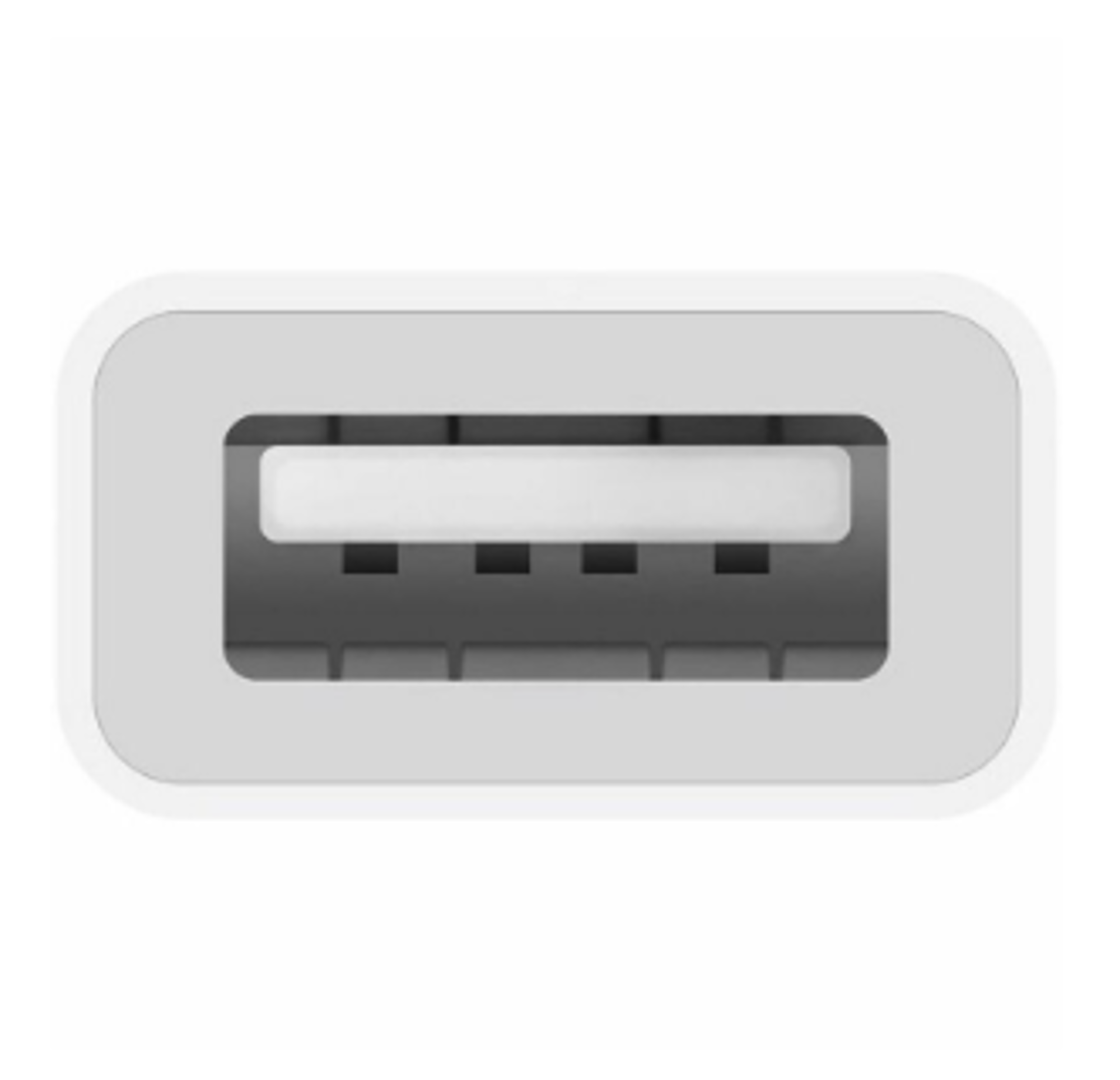Product image 3 of 3 for Apple USB-C to USB Adapter