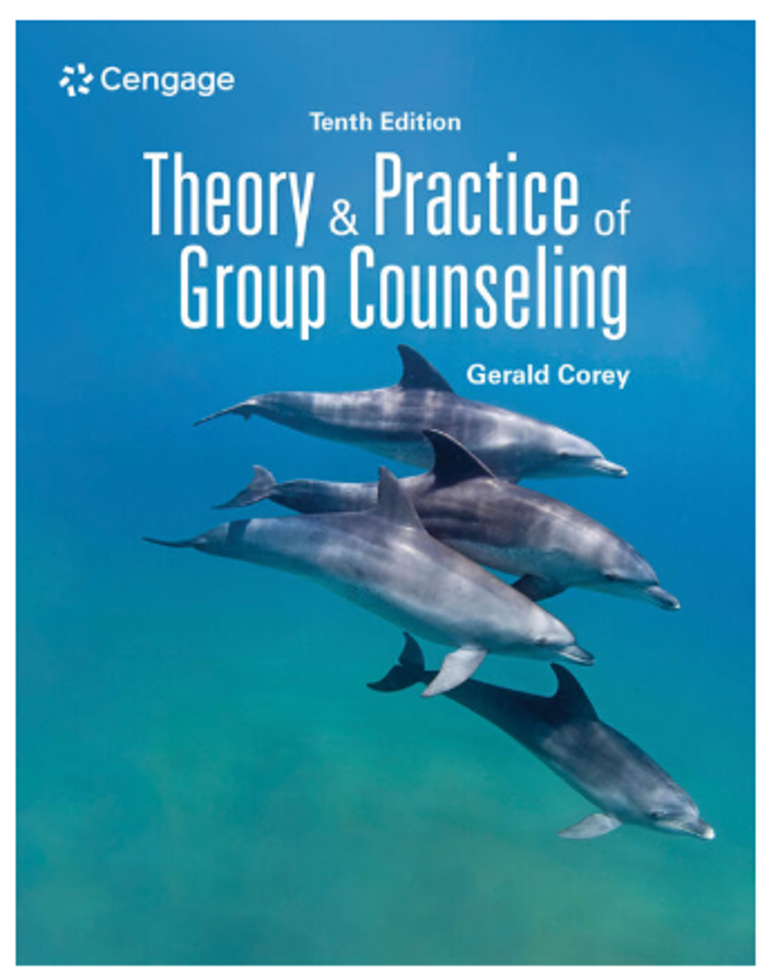 Cover image for THEORY+PRAC.OF GROUP...-MINDTAP ACCESS